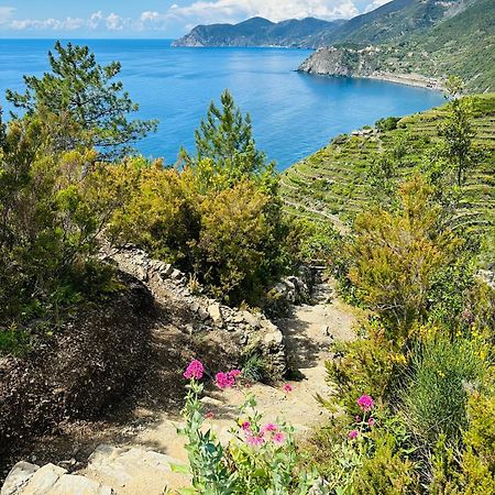 Al Castello Διαμέρισμα Ριοματζόρε Εξωτερικό φωτογραφία